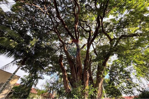 Foto 4 do(a) Fazenda / Sítio / Chácara de 5 quartos à venda em Recreio das Acácias, Ribeirão Preto