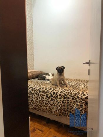 Foto 15 do(a) Apartamento de 2 quartos à venda em Vila Mariana, São Paulo