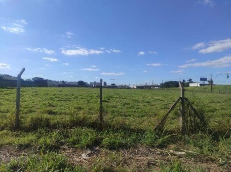 Foto 5 do(a) Terreno false à venda em Vila Nova, Maringá