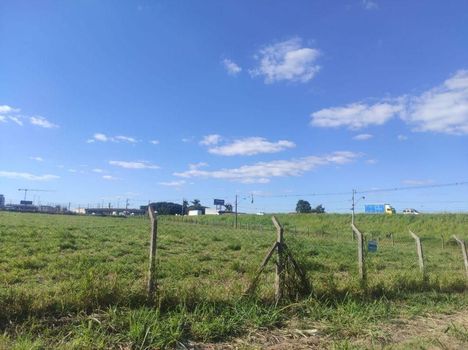 Foto 2 do(a) Terreno false à venda em Vila Nova, Maringá