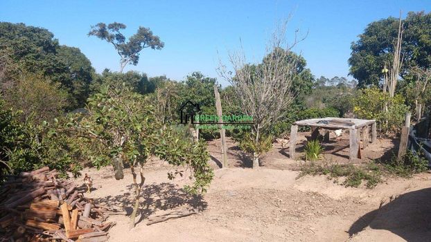 Foto 28 do(a) Fazenda / Sítio / Chácara de 3 quartos à venda em Pau Arcado, Campo Limpo Paulista