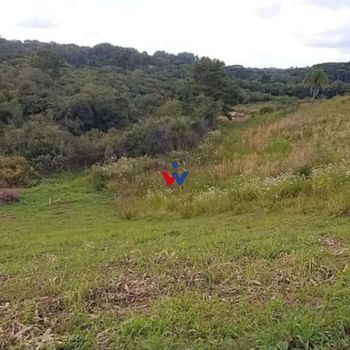 Foto 2 do(a) Fazenda / Sítio / Chácara de 1 quartos à venda em null, Contenda