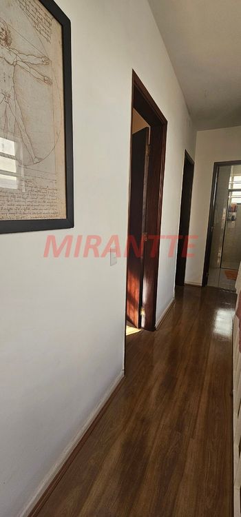 Foto 13 do(a) Casa de 3 quartos à venda em Vila Irmãos Arnoni, São Paulo