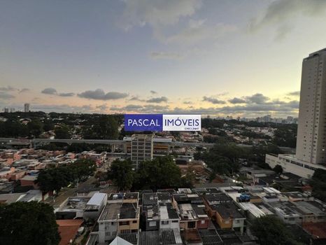 Foto 5 do(a) Apartamento de 3 quartos à venda em Parque Colonial, São Paulo