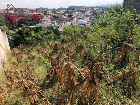 Foto 3 do(a) Terreno false à venda em Jardim Santo Antônio II, Campo Limpo Paulista