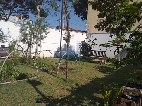 Foto 40 do(a) Apartamento de 3 quartos à venda em Cambuci, São Paulo