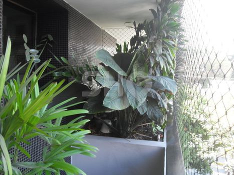 Foto 6 do(a) Apartamento de 3 quartos à venda em Perdizes, São Paulo