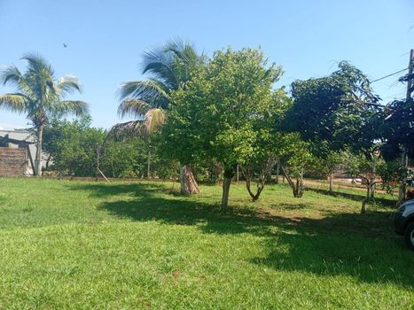 Foto 20 do(a) Fazenda / Sítio / Chácara de 2 quartos à venda em Conjunto Habitacional Claudionor Cinti, Araçatuba