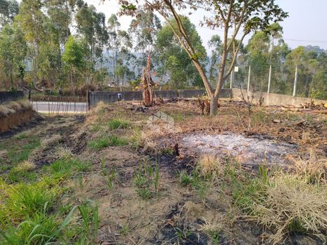 Foto 4 do(a) Terreno false à venda em Capoavinha, Mairiporã