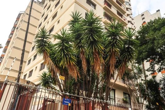 Foto 27 do(a) Apartamento de 3 quartos à venda em Aclimação, São Paulo