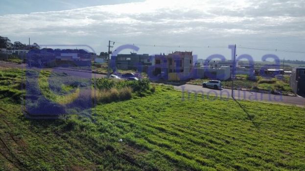 Foto 4 do(a) Terreno false à venda em Brazmadeira, Cascavel