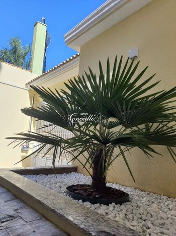 Foto 5 do(a) Cobertura de 2 quartos à venda em Jardim Santo Antônio, Santo André