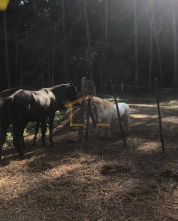 Foto 9 do(a) Casa em Condomínio de 3 quartos à venda em Jardim Sinki, Franco da Rocha