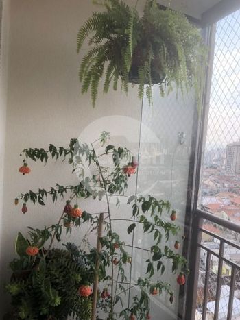 Foto 4 do(a) Apartamento de 3 quartos à venda em Alto da Mooca, São Paulo