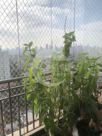Foto 6 do(a) Apartamento de 3 quartos à venda em Alto da Mooca, São Paulo