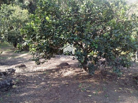 Foto 8 do(a) Terreno false à venda em Rio Acima, Atibaia