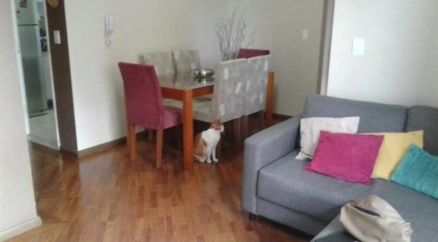 Foto 7 do(a) Apartamento de 3 quartos à venda em Jardim São Paulo(Zona Norte), São Paulo