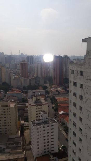 Foto 13 do(a) Apartamento de 1 quartos à venda em Cambuci, São Paulo