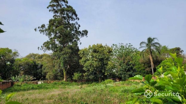 Foto 4 do(a) Terreno false à venda em São Cristóvão, Cascavel