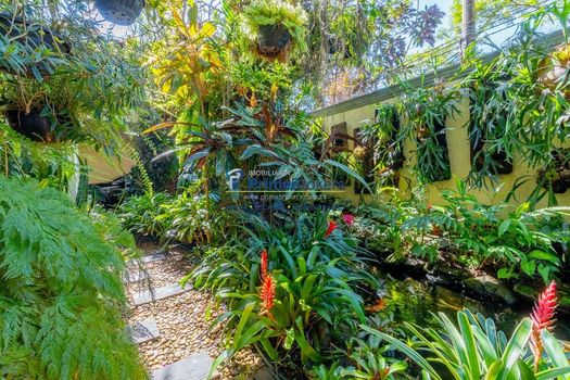 Foto 6 do(a) Casa de 5 quartos à venda em Jardim Luzitânia, São Paulo