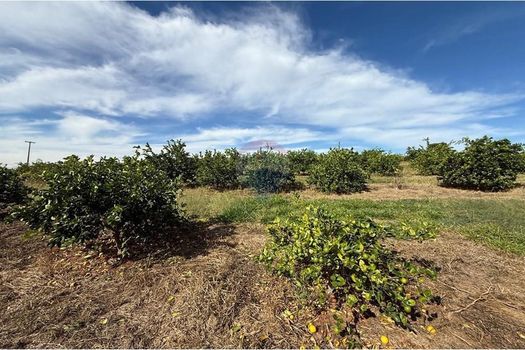 Foto 4 do(a) Fazenda / Sítio / Chácara de 4 quartos à venda em Área Rural de Itapira, Itapira