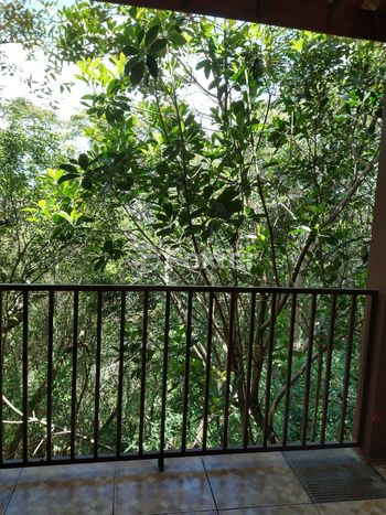 Foto 20 do(a) Apartamento de 4 quartos à venda em Reserva Bom Viver, Campo Limpo Paulista