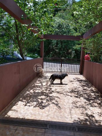 Foto 22 do(a) Apartamento de 4 quartos à venda em Reserva Bom Viver, Campo Limpo Paulista