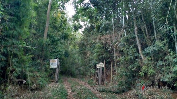 Foto 6 do(a) Fazenda / Sítio / Chácara de 3 quartos à venda em Posse, Petrópolis