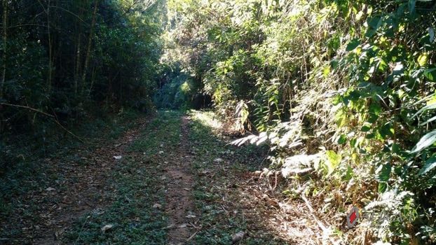 Foto 1 do(a) Fazenda / Sítio / Chácara de 3 quartos à venda em Posse, Petrópolis
