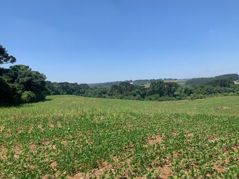 Foto 5 do(a) Terreno false à venda em Veneza, Fazenda Rio Grande