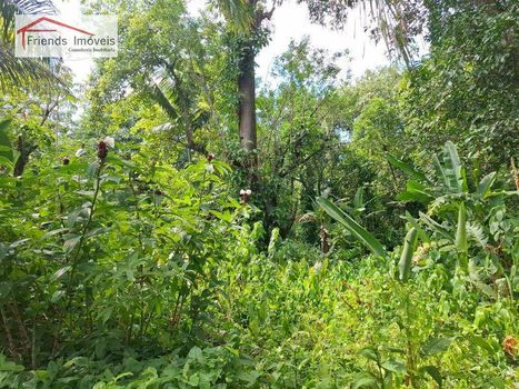 Foto 14 do(a) Terreno false à venda em Vargem Grande, Rio de Janeiro