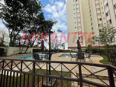 Foto 31 do(a) Apartamento de 3 quartos à venda em Vila Nova Cachoeirinha, São Paulo