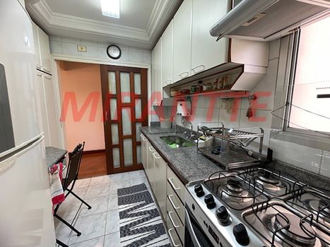 Foto 9 do(a) Apartamento de 3 quartos à venda em Vila Nova Cachoeirinha, São Paulo