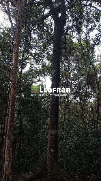Foto 8 do(a) Terreno false à venda em Embu Colonial, Embu das Artes