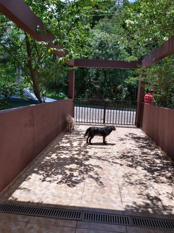 Foto 22 do(a) Casa em Condomínio de 4 quartos à venda em Reserva Bom Viver, Campo Limpo Paulista
