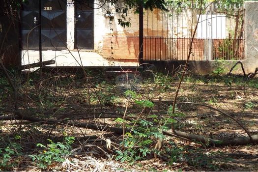 Foto 12 do(a) Terreno false à venda em Jardim Vera Cruz, Sorocaba