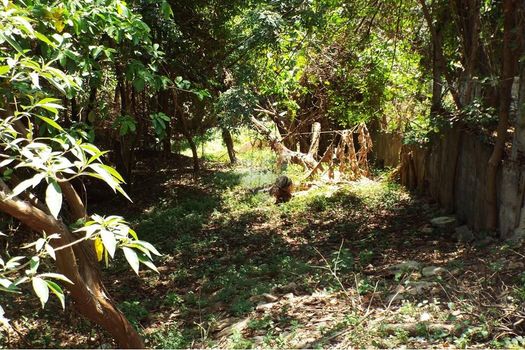 Foto 23 do(a) Terreno false à venda em Jardim Vera Cruz, Sorocaba