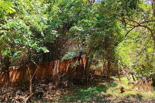 Foto 17 do(a) Terreno false à venda em Jardim Vera Cruz, Sorocaba