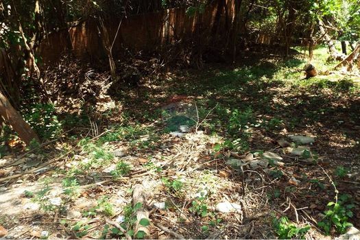 Foto 25 do(a) Terreno false à venda em Jardim Vera Cruz, Sorocaba