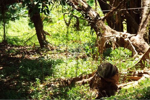 Foto 26 do(a) Terreno false à venda em Jardim Vera Cruz, Sorocaba