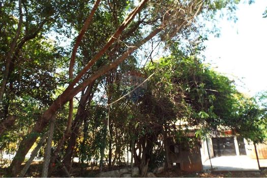 Foto 11 do(a) Terreno false à venda em Jardim Vera Cruz, Sorocaba