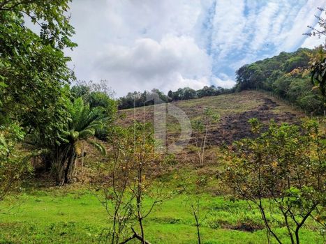 Foto 32 do(a) Fazenda / Sítio / Chácara de 6 quartos à venda em Parque Nossa Senhora da Ajuda, Guapimirim