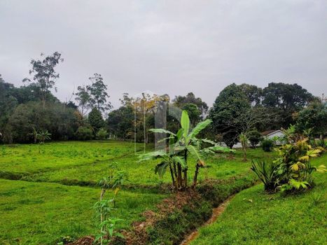 Foto 33 do(a) Fazenda / Sítio / Chácara de 6 quartos à venda em Parque Nossa Senhora da Ajuda, Guapimirim