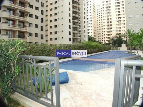 Foto 40 do(a) Apartamento de 3 quartos à venda em Vila Mascote, São Paulo