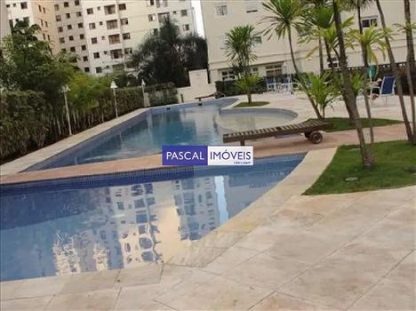 Foto 29 do(a) Apartamento de 3 quartos à venda em Vila Mascote, São Paulo