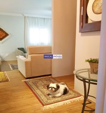 Foto 20 do(a) Apartamento de 3 quartos à venda em Vila Mascote, São Paulo