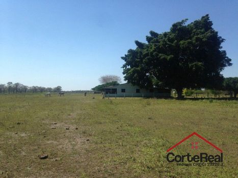 Foto 4 do(a) Fazenda / Sítio / Chácara de 15 quartos à venda em Centro, Corumbá