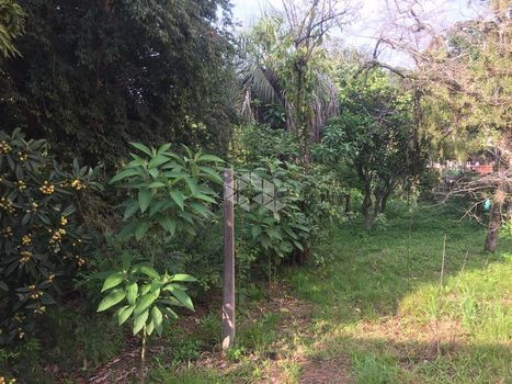 Foto 2 do(a) Terreno false à venda em Bonfim, Santa Cruz do Sul