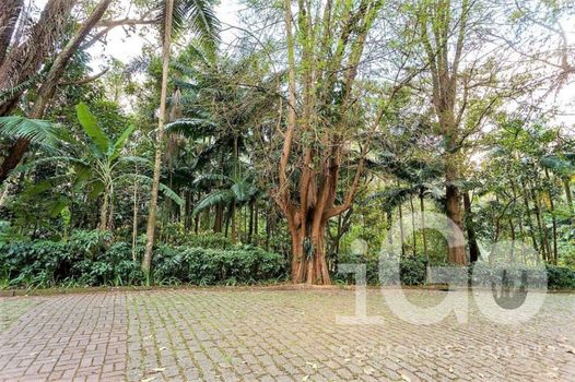 Foto 36 do(a) Casa em Condomínio de 4 quartos à venda em Jardim dos Estados, São Paulo