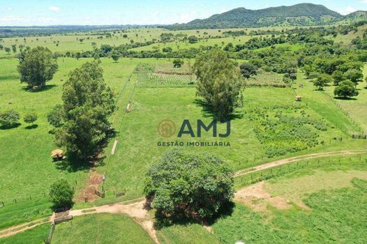 Foto 8 do(a) Fazenda / Sítio / Chácara de 6 quartos à venda em null, Palmeiras de Goiás